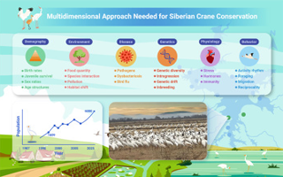 Breakthrough in China's fusion energy: HL-3 tokamak achieves high ion temperature and fusion triple product